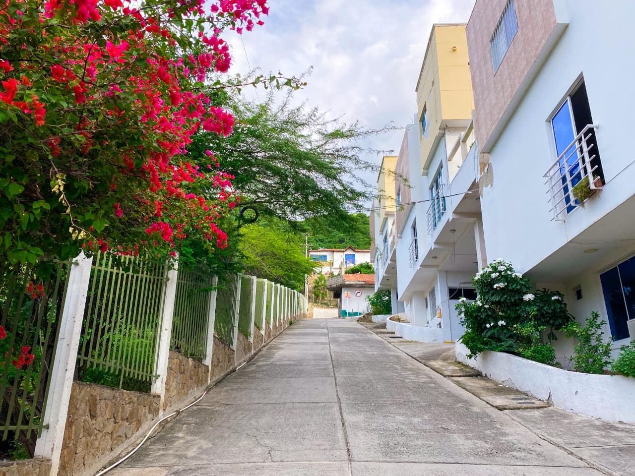Entrada y jardines — Villa Roca